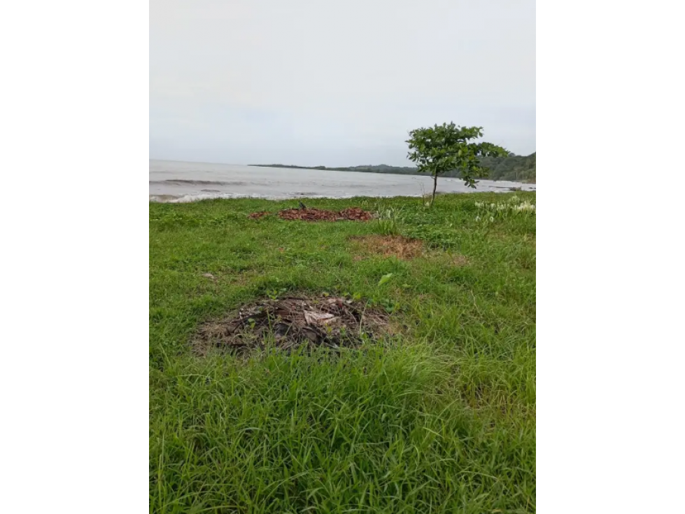 Venta de Terreno (Playa) Colon - 6