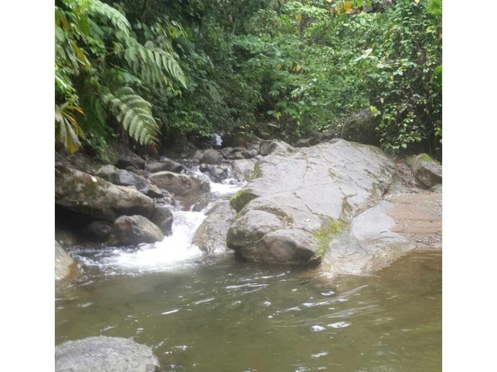 Venta de Finca en Changuinola, Bocas Del Toro - 2