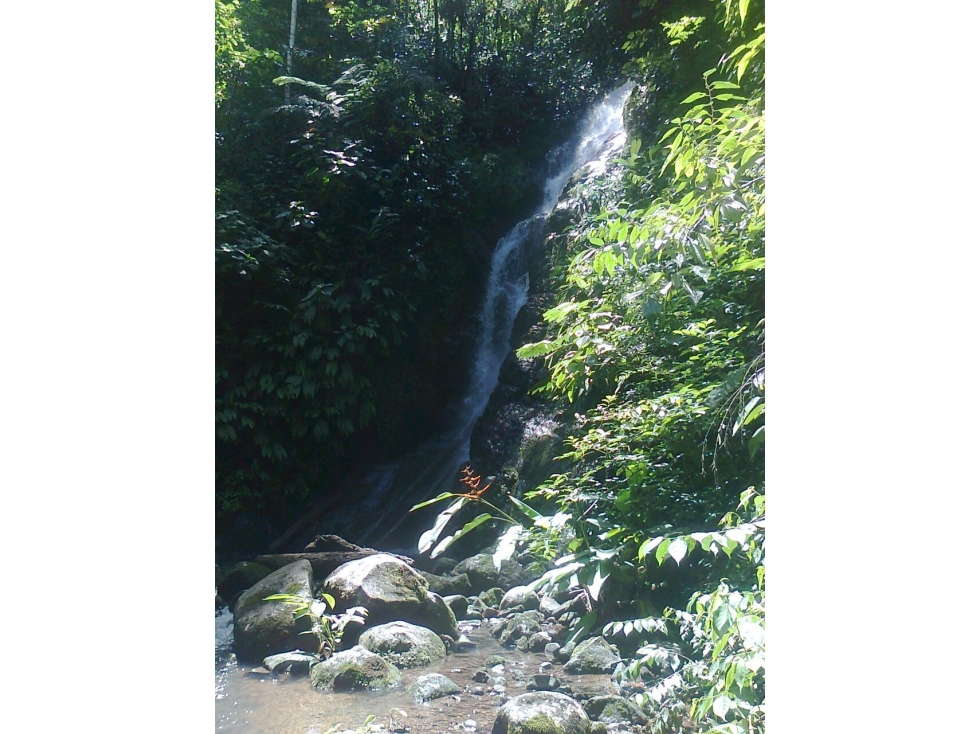 Venta de Finca en Changuinola, Bocas Del Toro - 6