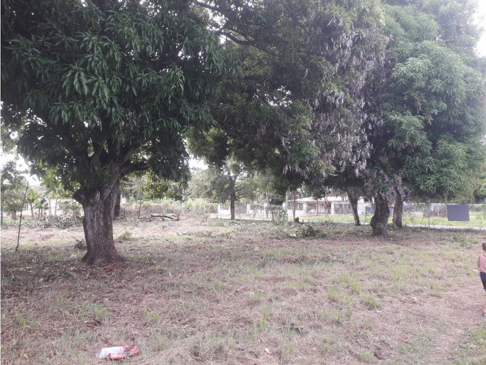 Venta de Terreno en Gorgona