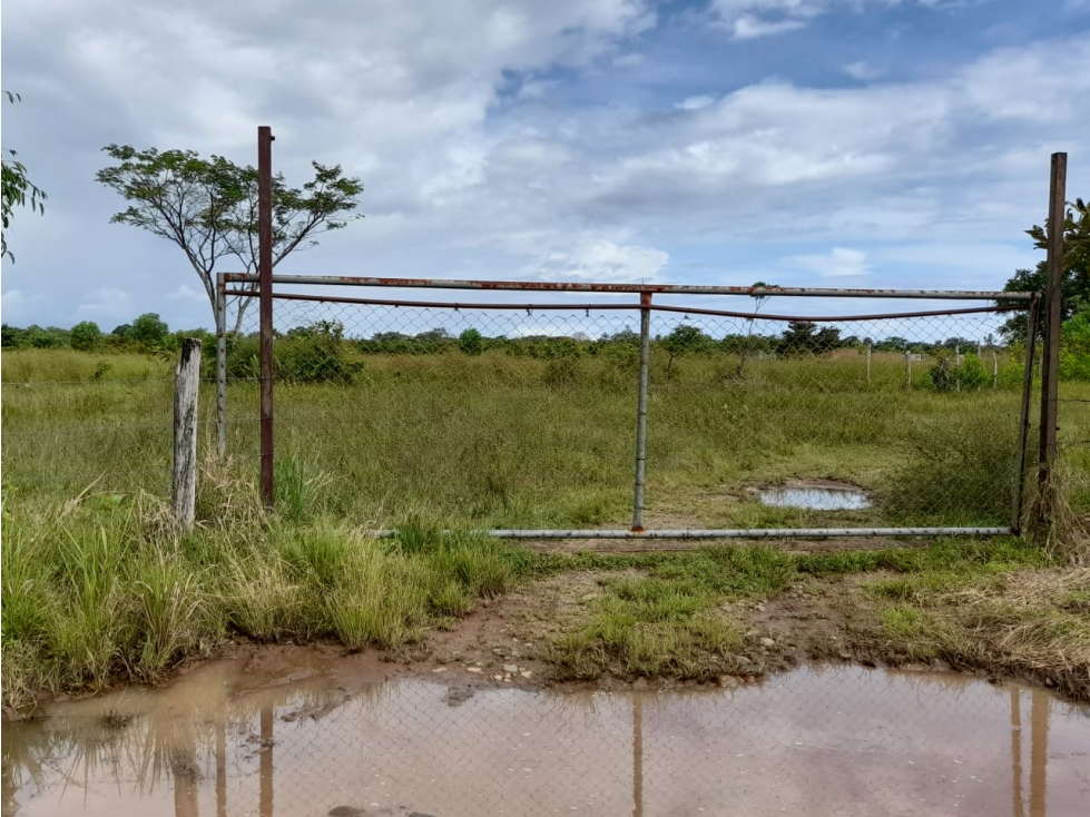 Venta de Finca Aceitera Chiriqui - 3