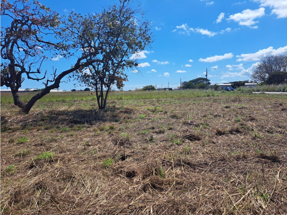 Venta de Terreno en Aguadulce - 5