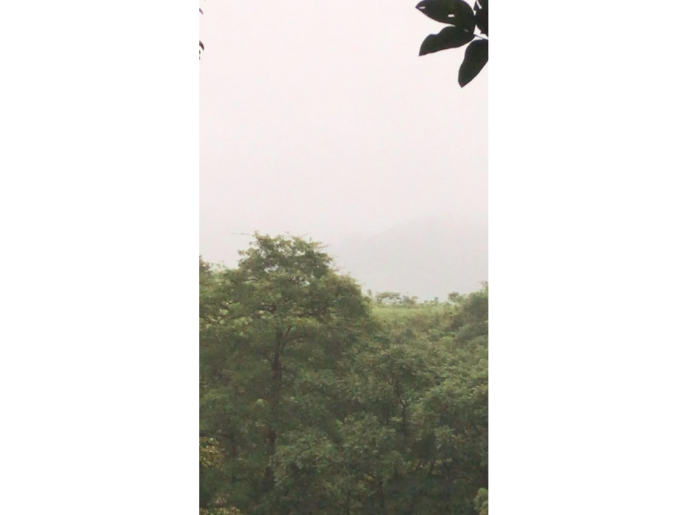 Venta de Terreno en Torio, Veraguas - 1