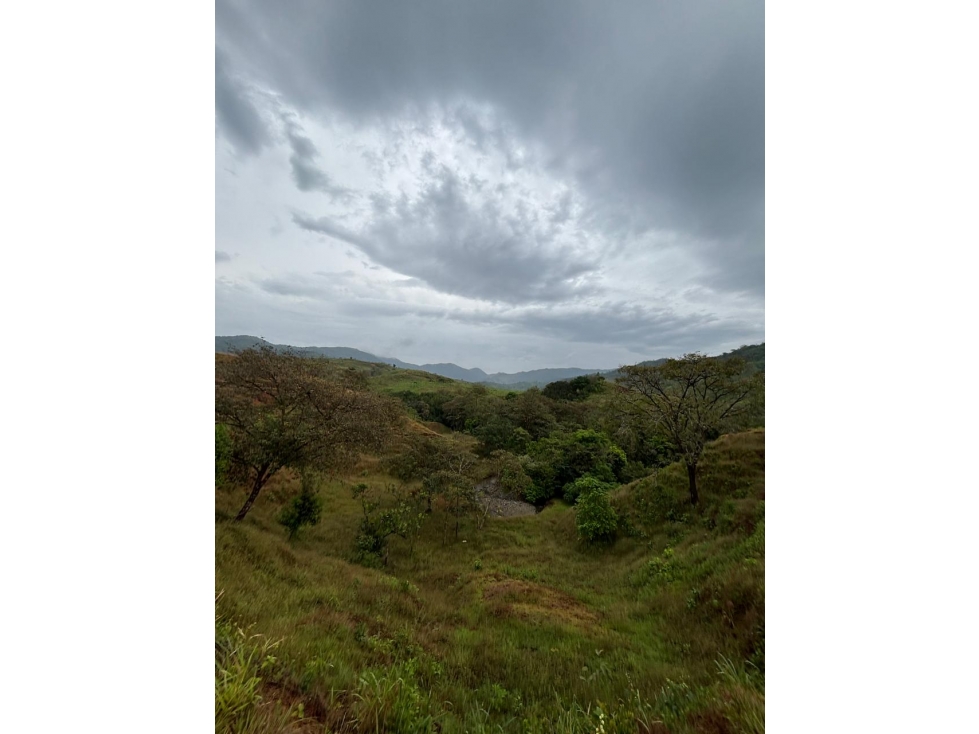Venta de Terreno en Torio, Veraguas - 4