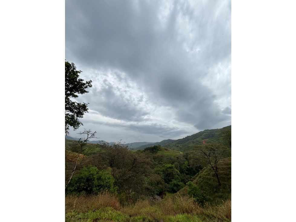Venta de Terreno en Torio, Veraguas - 5