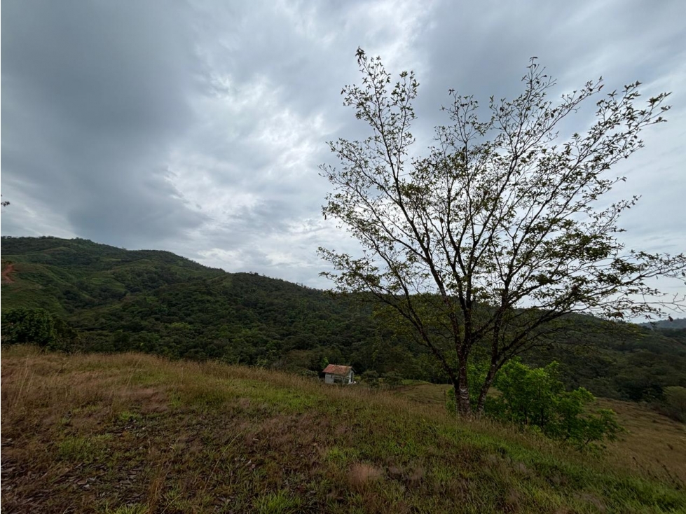 Venta de Terreno en Torio, Veraguas - 6