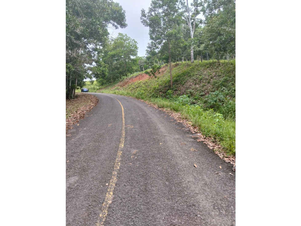 Venta de Terreno en Penonome - 6