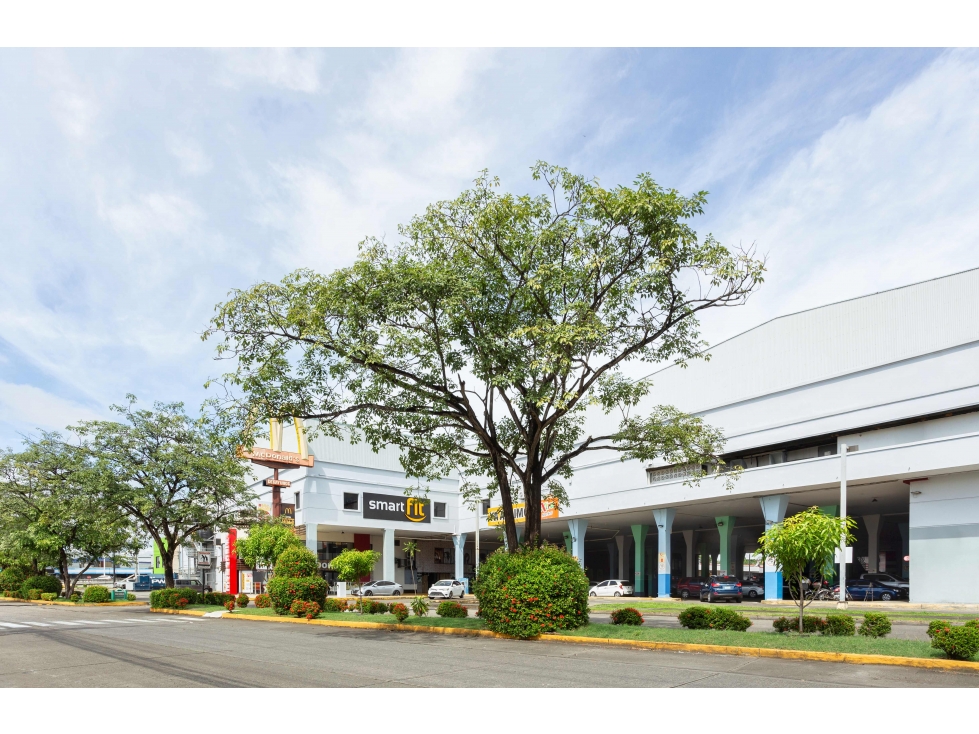 Alquiler de local comercial en Plaza Agora, Chanis, Panamá - 1