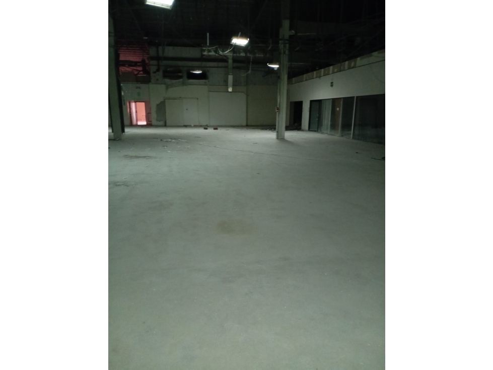Alquiler de local comercial en Plaza Agora, Chanis, Panamá - 4