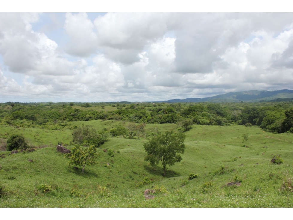 Venta de Terreno en Utivé, Pacora — foto 3