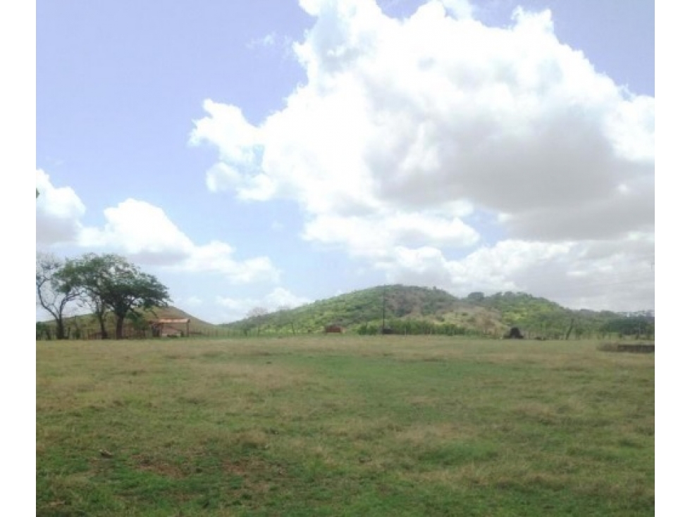 Venta de finca en Pesé, Herrera - 6