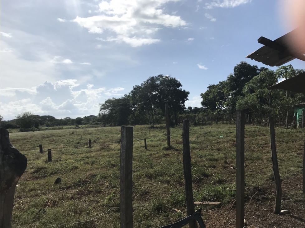 Venta de Terreno en Chitré - 5