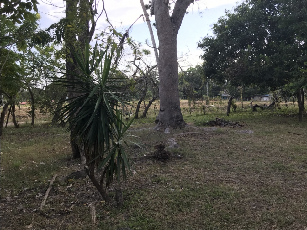 Se Vende Terreno en Gorgona — foto 5