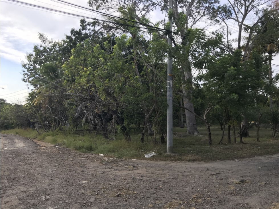 Se Vende Terreno en Gorgona — foto 6