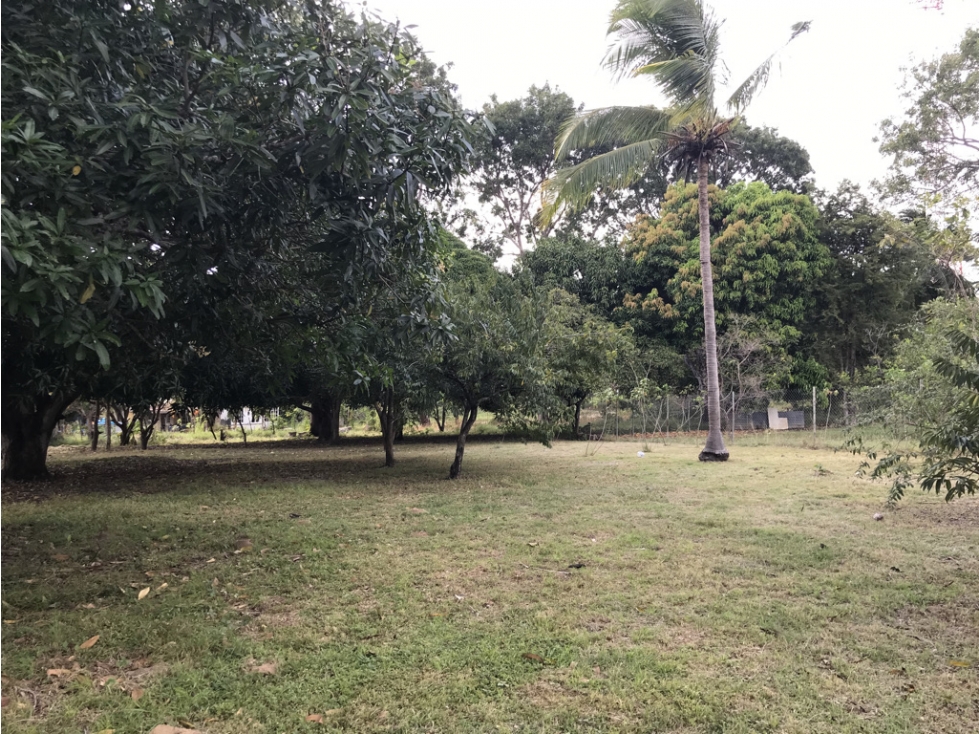 Se Vende Terreno en Gorgona
