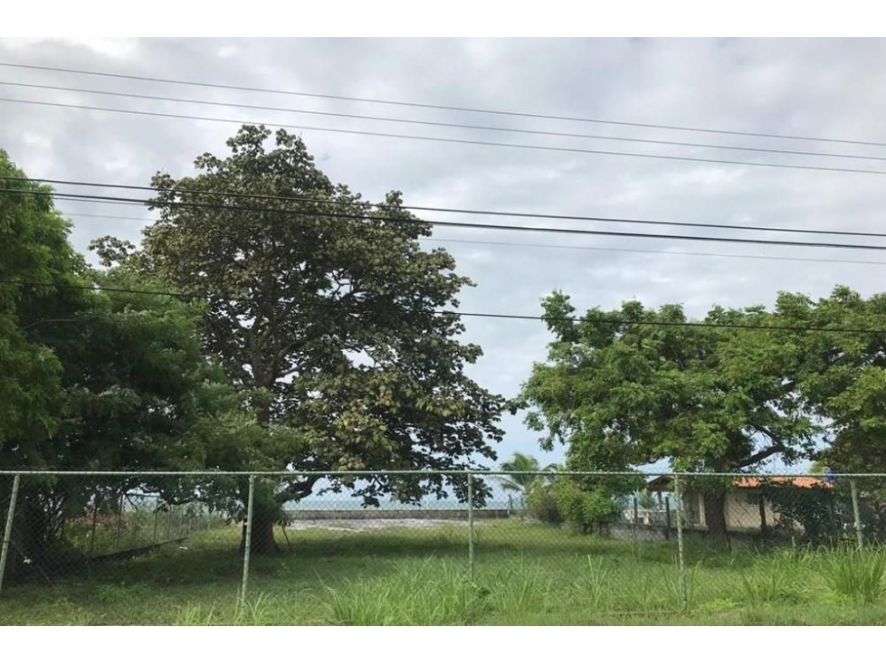 Se Vende Terreno frente al mar en Playa Malibú, Nueva Gorgona — foto 3