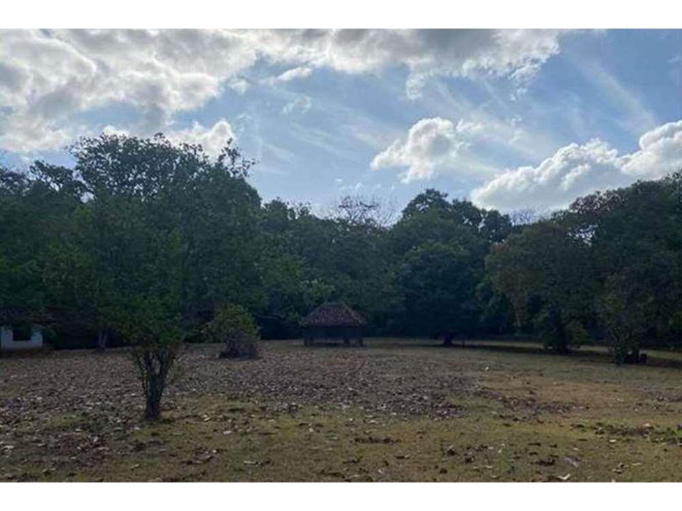 Se Vende Finca de 12 Hectáreas en Rodeo Viejo, San Carlos