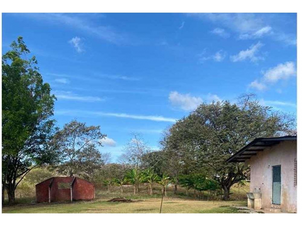 Se Vende Finca de 12 Hectáreas en Rodeo Viejo, San Carlos — foto 2