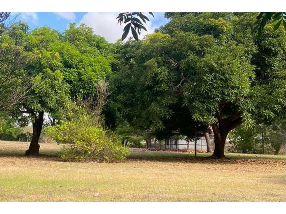 Se Vende Finca de 12 Hectáreas en Rodeo Viejo, San Carlos — foto 3