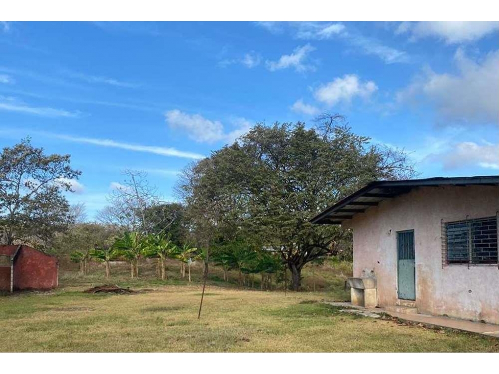 Se Vende Finca de 12 Hectáreas en Rodeo Viejo, San Carlos — foto 5