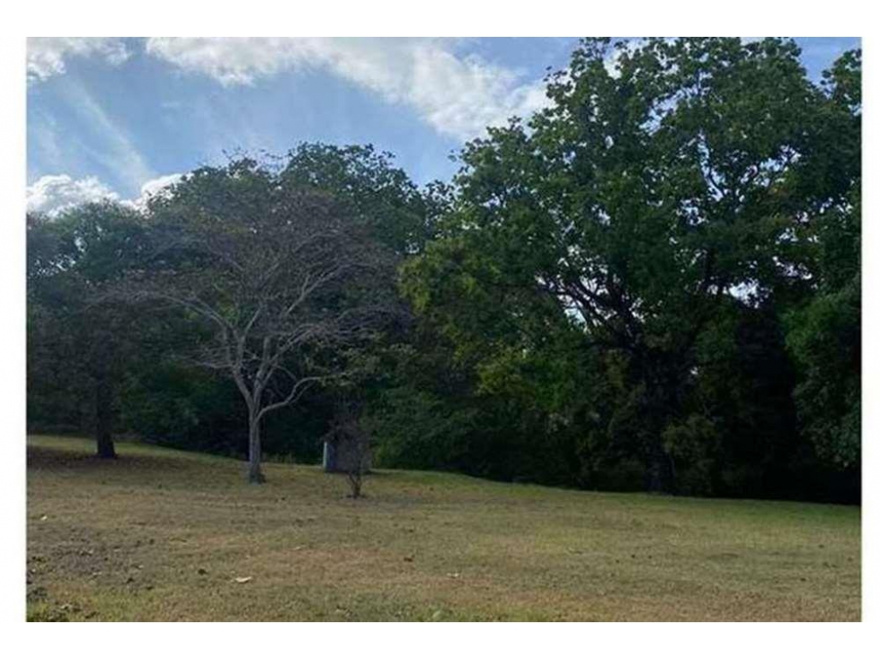 Se Vende Finca de 12 Hectáreas en Rodeo Viejo, San Carlos — foto 4