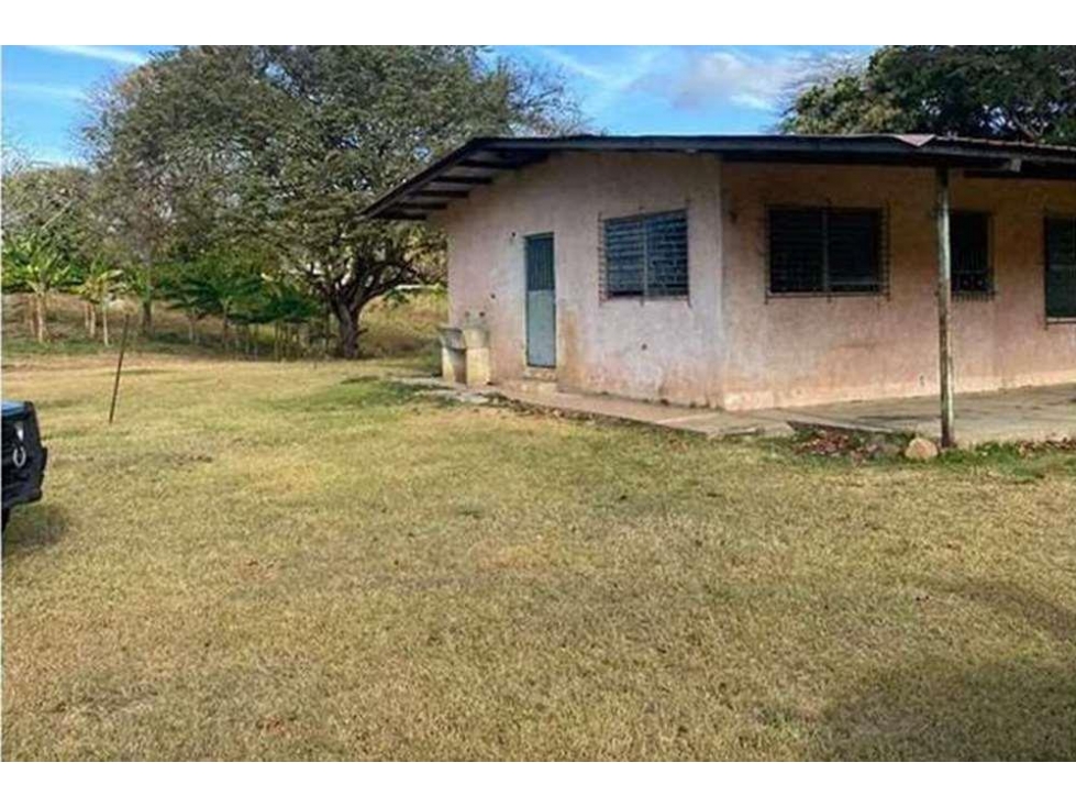 Se Vende Finca de 12 Hectáreas en Rodeo Viejo, San Carlos — foto 6
