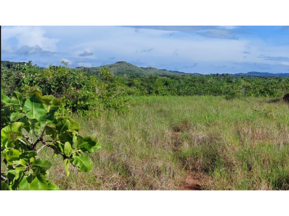 Se Venden Hectáreas en Los Pozos Antón, Coclé - 1