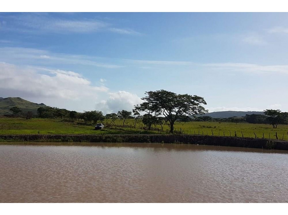 Se vende finca en Penonomé, Coclé