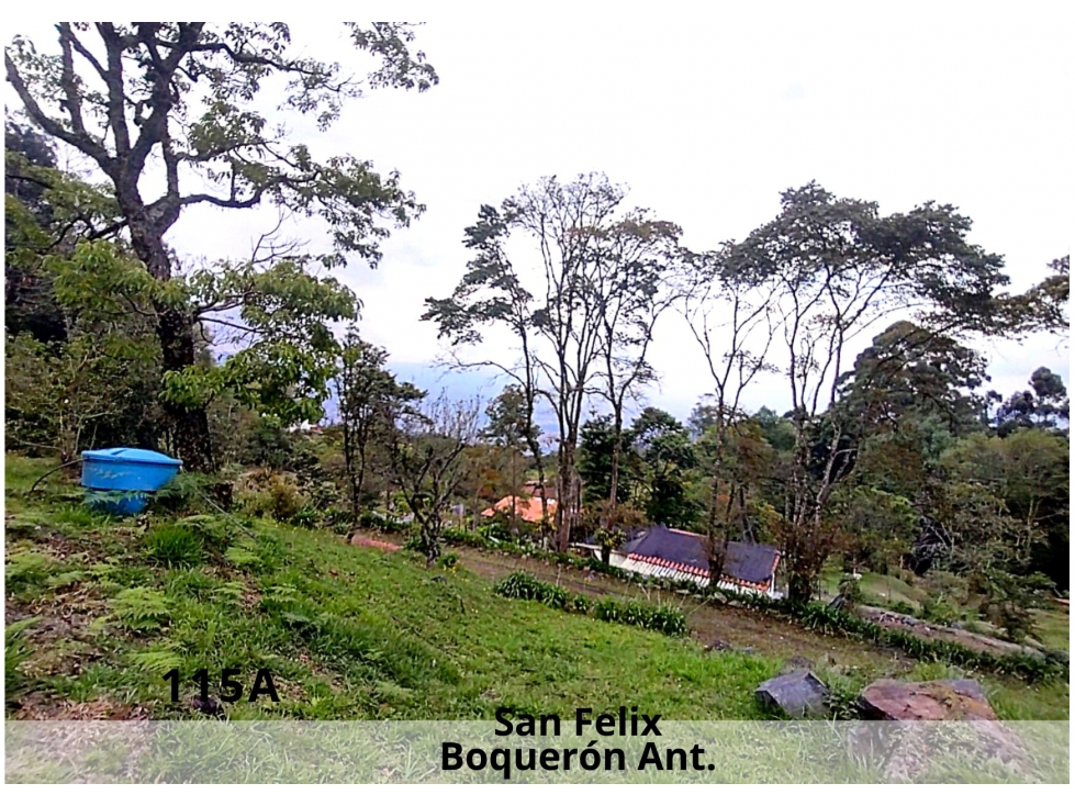 Venta Espectacular Finca en S. Félix-Boquerón Vista Inigualable — foto 5