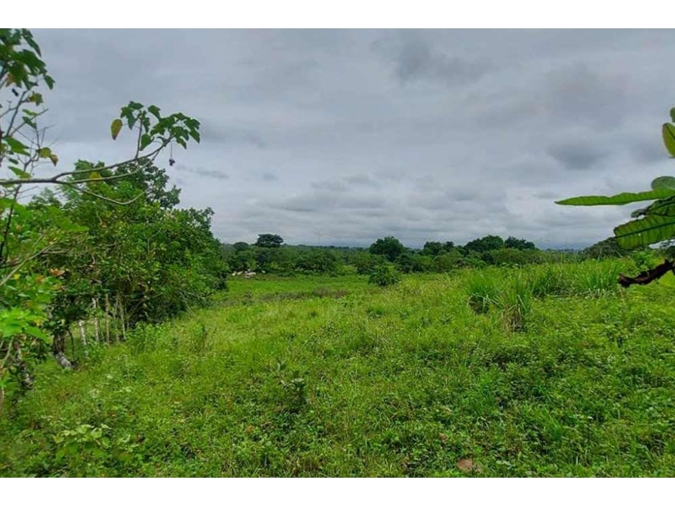 Se vende terreno en Río Chico, Pacora - 2