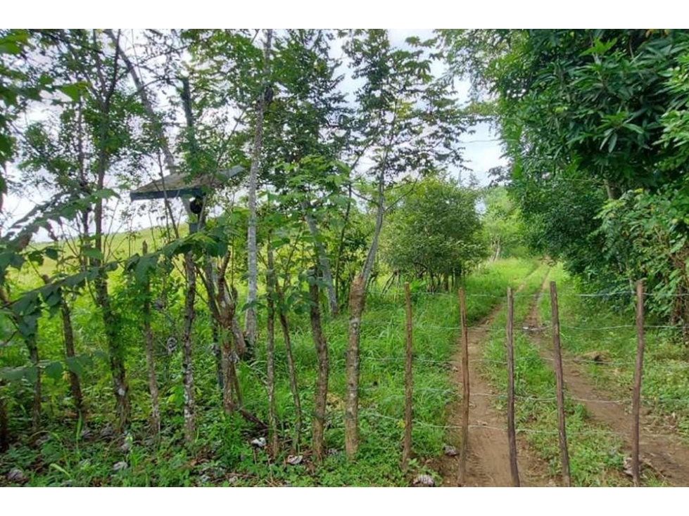 Se vende terreno en Río Chico, Pacora - 5