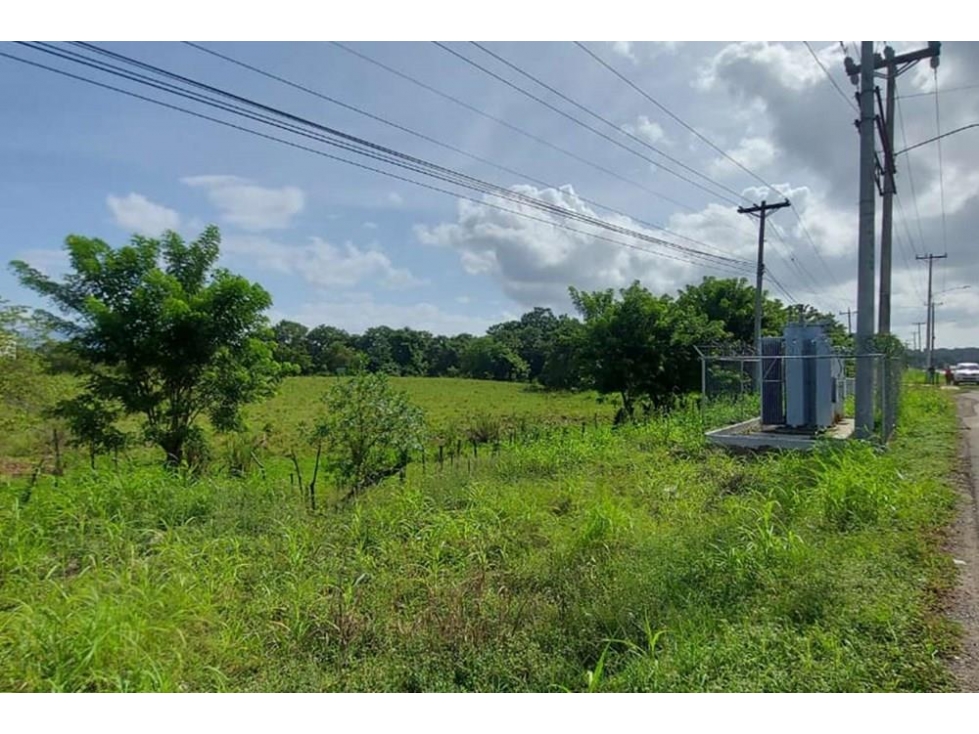 Se vende terreno comercial en Pacora - 6