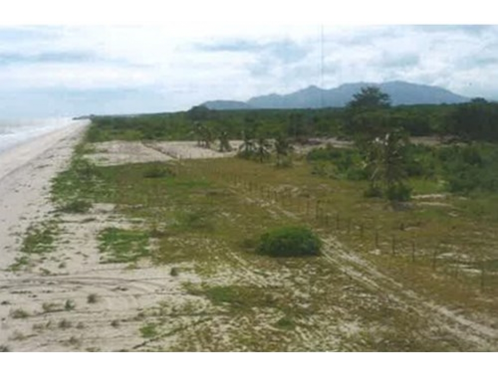 Se Vende Lote frente al mar en Punta Chame, Panama Oeste — foto 2