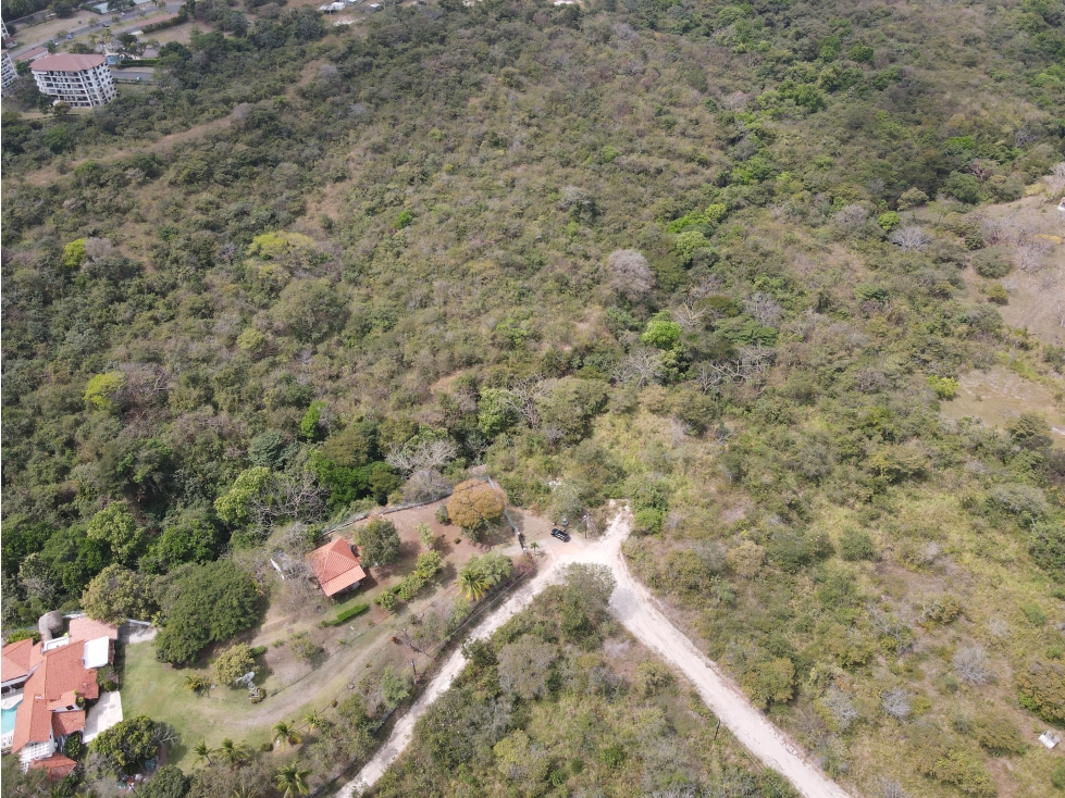 Se Venden Hectáreas en Costa Esmeralda, San Carlos — foto 4