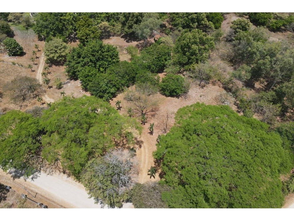 Se vende Finca en Las Lagartijas, San Carlos - 4