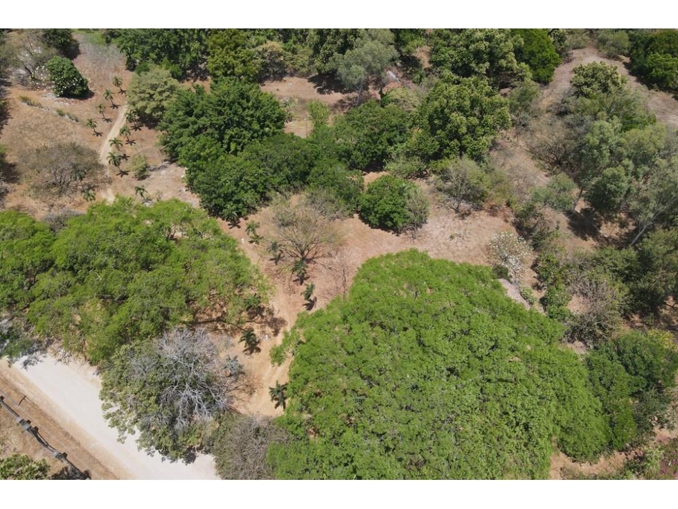 Se vende Finca en Las Lagartijas, San Carlos - 5