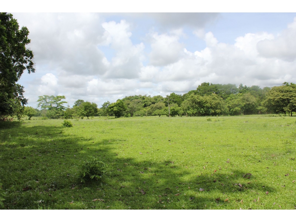 Venta de Terreno en Utivé, Pacora — foto 4