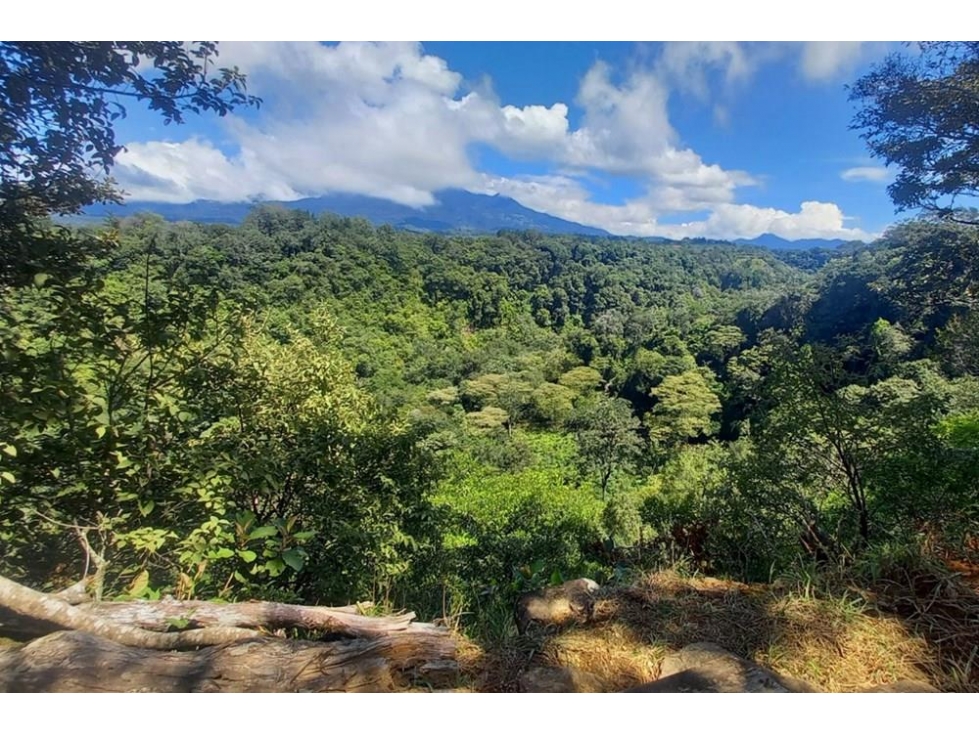 Se vende finca cafetera en Alto Boquete, Chiriquí - 3
