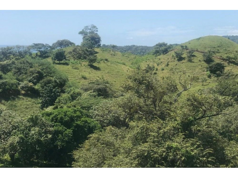 Se vende finca en Playa Venao, Los Santos - 4