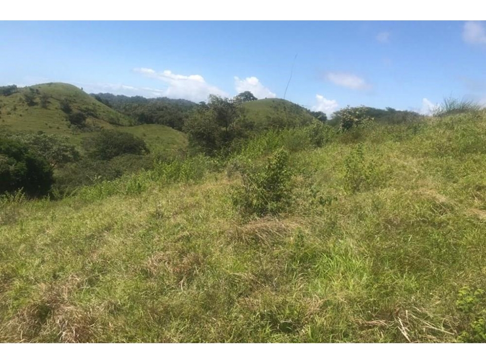 Se vende finca en Playa Venao, Los Santos - 5