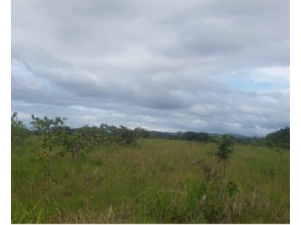 Se Venden Hectáreas en Los Pozos Antón, Coclé - 2