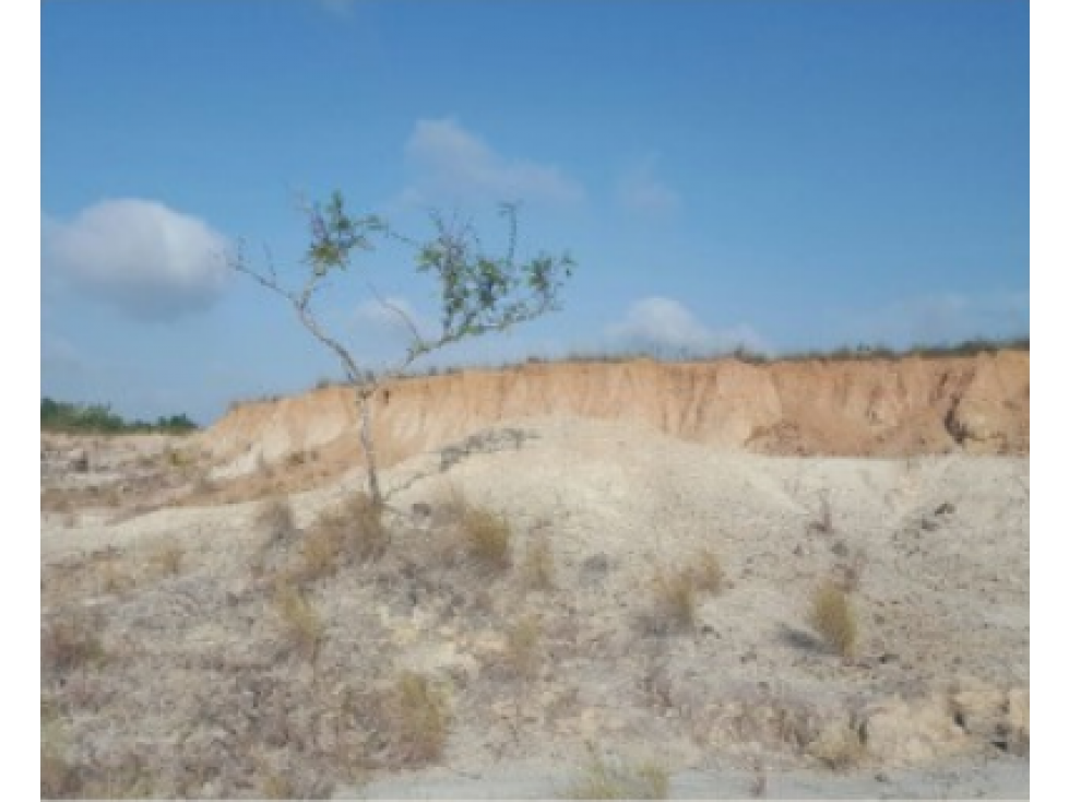 Se Venden Hectáreas en Los Pozos Antón, Coclé - 3