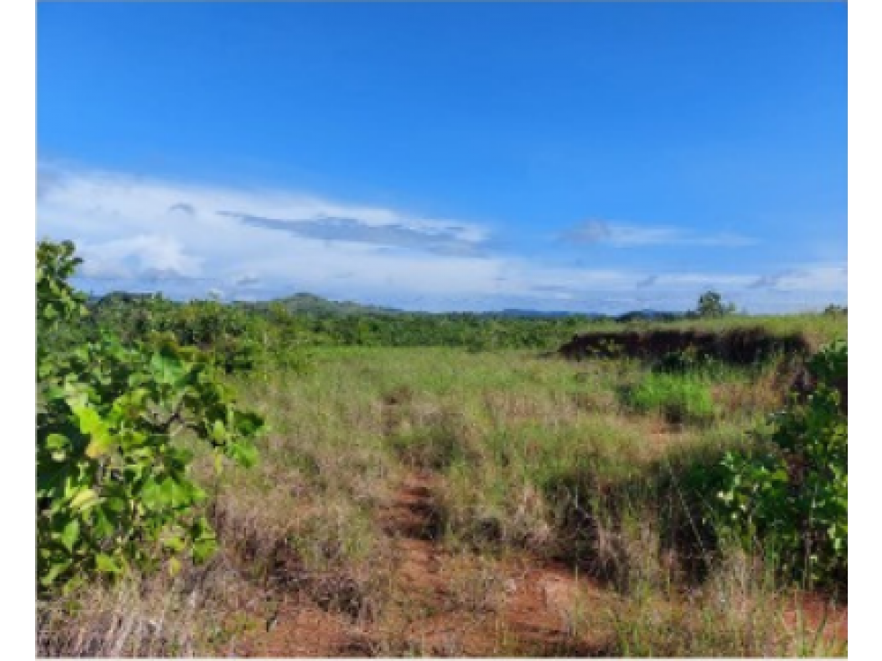 Se Venden Hectáreas en Los Pozos Antón, Coclé - 4