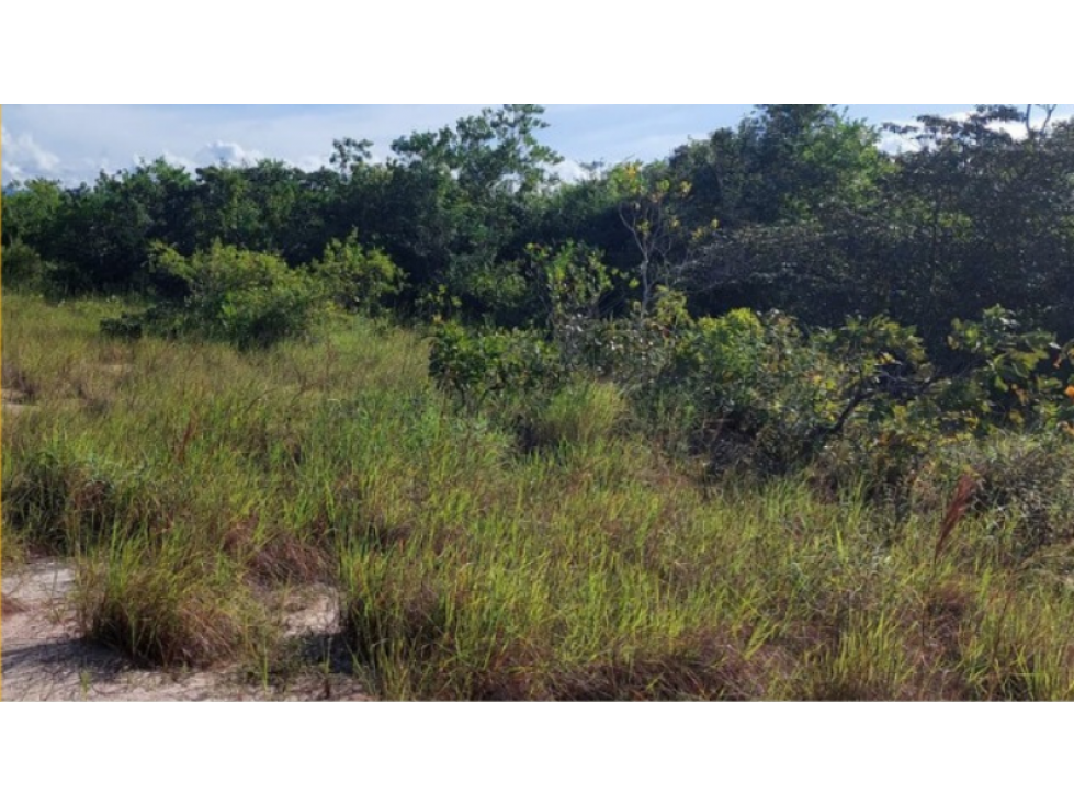 Se Venden Hectáreas en Los Pozos Antón, Coclé - 5
