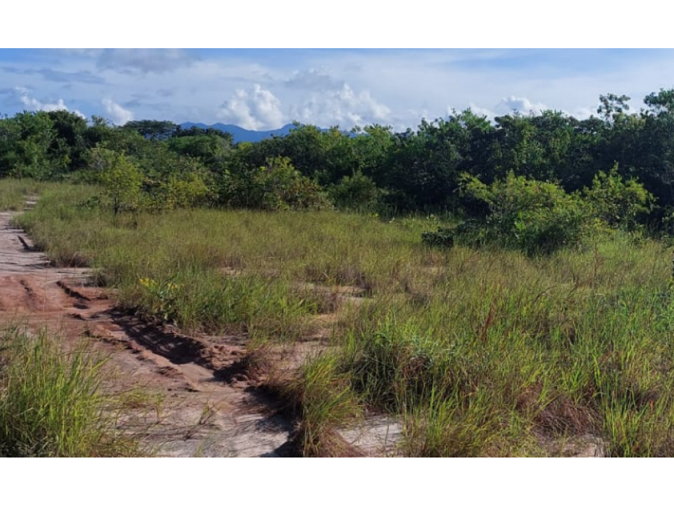 Se Venden Hectáreas en Los Pozos Antón, Coclé - 6