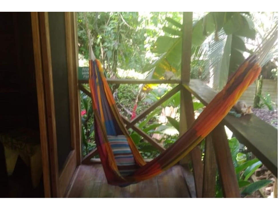Se vende negocio en Bastimentos, Bocas del Toro - 3
