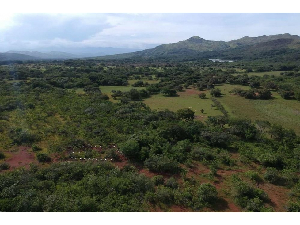 Se vende finca en Rio Grande, Penonomé — foto 5