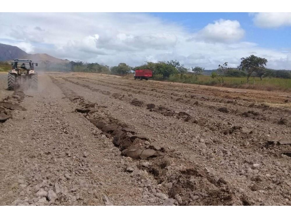 Se vende finca en Penonomé, Coclé — foto 3