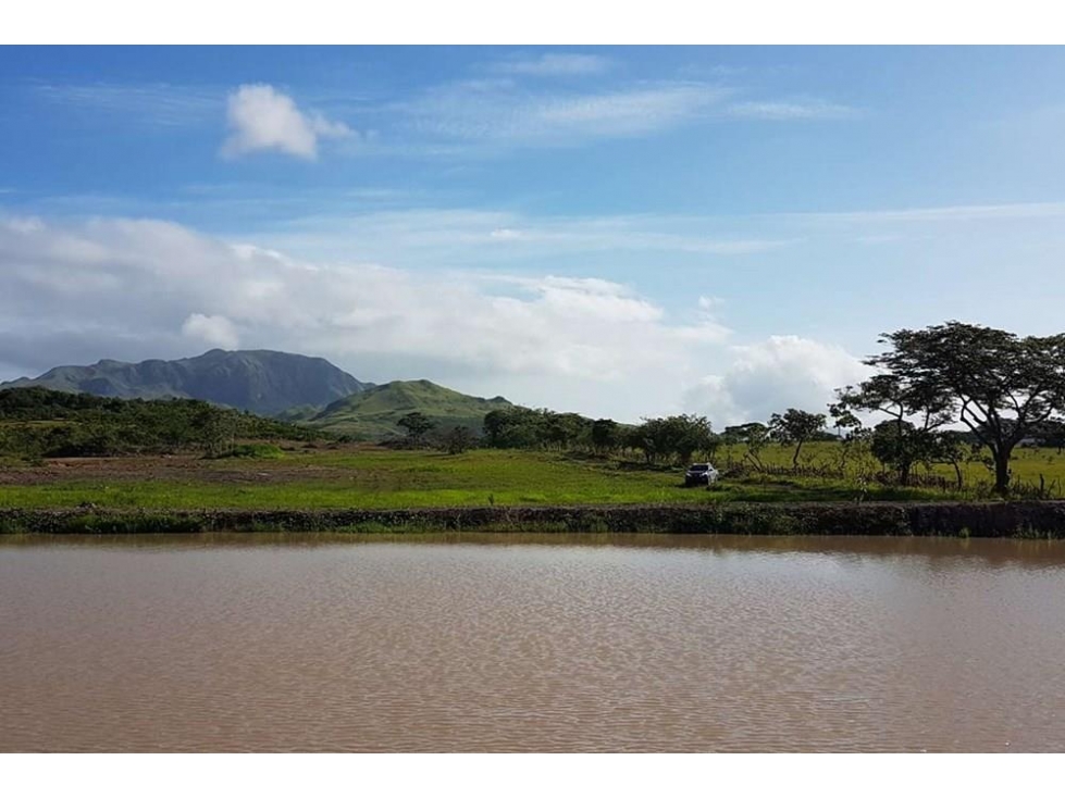 Se vende finca en Penonomé, Coclé — foto 4