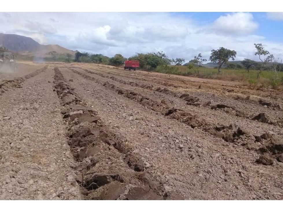 Se vende finca en Penonomé, Coclé — foto 5